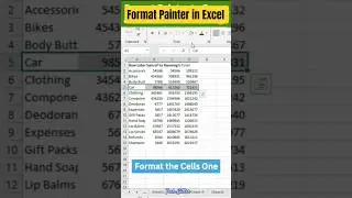 Use Format Painter in Excel Like a Pro!