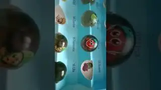 colecție fresh heads