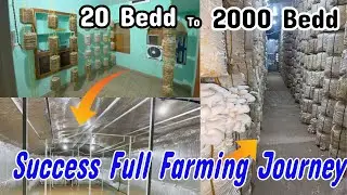 Success Journey of Mushroom farming | One year Transition | Ordinary Farm To Hi-Tech Farm