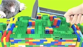 Exciting fun game video for kids 😍 Plastic hammer hit or bang the moles in LEGO mole game