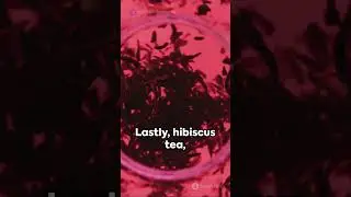 Tea Tasting Adventure: Exploring a World of Flavors with Different Tea Varieties