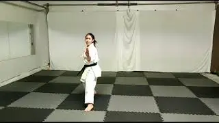 NWKA Shodan Test Kihon