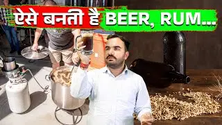 How to make Wine, Whisky, Rum, Beer? This is how alcohol is made from fruits and grains | Informa...