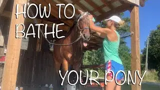 Bathing My Horse Routine | EquestrianBliss