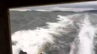 Bellingham Bay