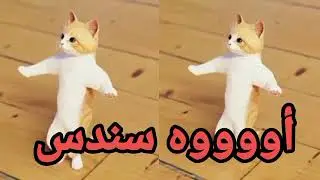 #اغنية#سندس#القمر#اغنية#باسم#سندس#السعودية#الكويت#تركيا#العراق#قطر#البحرين#الجزائر#دبي#جده#الرياض