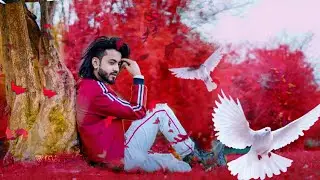 PicsArt Love Birds Photo Editing Tutorial #Raj_Photo_Editing_model