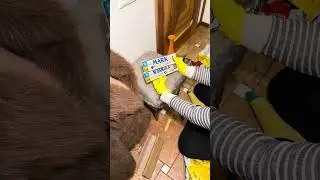 Розпаковка коробки з Укрпошта. Лот з аукціону. 4 частина. 