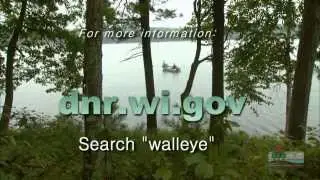 Wisconsin Walleye Initiative