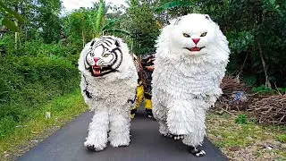 KIRAB CAN MACANAN SINGO MANGGALA DAN DRUMBAND MAONG REMAS DI DAERAH TEGAL MIJIN BONDOWOSO