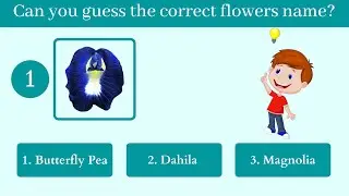 Can you guess the correct flower name Part - 1 |  10 Second Challenge | 99% people's are failed