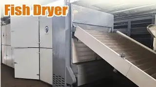 Commercial Fish Drying Machine Price and Working Video #fish #dryer #foodprocessing