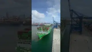 How the giant Ever AIM berths at Colombo Port #CWIT #ship #world biggest