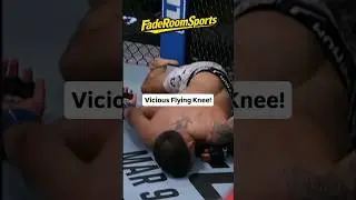 OUT OF NOWHERE  Flying Knee Ends UFC Fight INSTANTLY #ufc #mma
