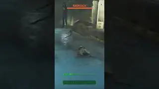 First Encounter with GIANT Rad Roaches | Fallout 4 Shorts