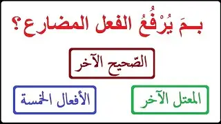 رفع الفعل المضارع: الصحيح الآخر - المعتل الآخر - الأفعال الخمسة