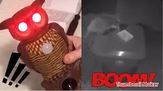 Owl Alert. Pest control, motion sensor, lights, and sounds. Will it scare away Racoons? OwlAlert