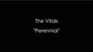 Echo Bar Recording Studios The Vitals Perennial