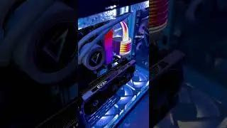 SNOW WHITE BUILD 