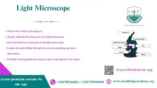 Light Microscope