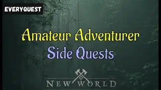 Let's Play - Everyquest - New World Aeternum - Side Quests -  Amateur Adventurer