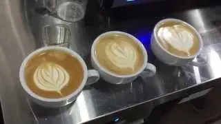 [19] How to make an Authentic Baileys Irish Cream Coffee