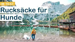 Hunderucksack, Rucksack für Hunde +10kg im Test (Kurgo vs. Dog Carrier)
