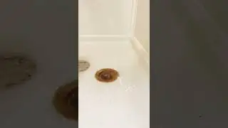 Clogged Shower Drain! Easy! #diy #plumber #plumbing #clogged