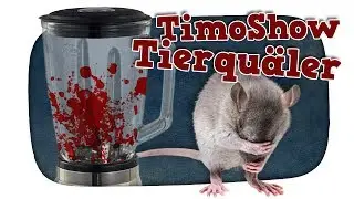 Timon Show - Tierqu&auml;lerei und Clickbait - Kuchen Talks #431