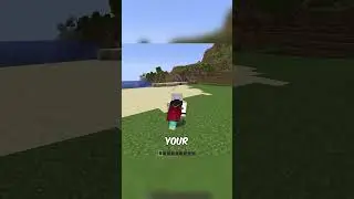 Minecraft Swift Sneak Moment