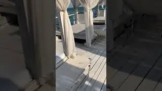 Болгария Casa real 2019