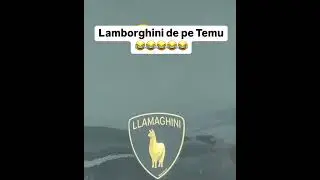 🚗😅🦙 #lamborghini #fun #voyage #cars #voyagesmalins