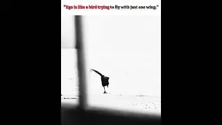 make ego like this bird