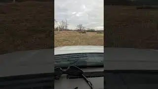 TURKEY PEN FIELD. #lower #farm #check #around #country #turkey #fields #pasture #shortsfeed #shorts