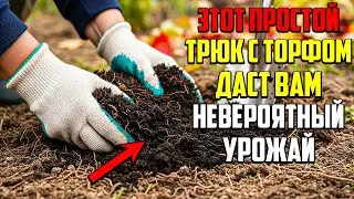Используйте Торф Только Так, И Грядки Вас Озолотят Урожаем!