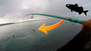 P&ecirc;che du BAR sur une digue mythique : spot CANON et EFFICACE 🎣