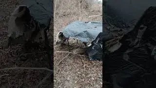 место слияния ручья с рекой Медина, Бандера, Техас
