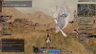 Bless online: leveling up and being annoyed.