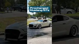 Procharged Mustang GT Rolling 💙
