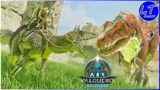 Hunting Alpha Rex's For Drakeling Chests! | ARK Valguero | #9