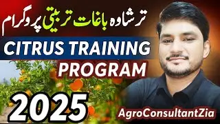 Citrus Training Program 2025.