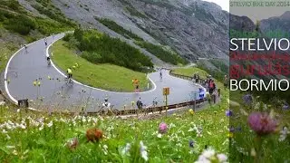 Stelvio-Bormio descending/gurulás