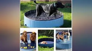Foldable Dog Pet Bath Pool Collapsible Large Pool Bathing Swimming Tub Kiddie Pool review