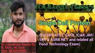 single cell protein production