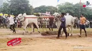 ####గోనెగొండ్ల 17వ జత వడ్డే రవికుమార్ నెహ్రూనగర్ (వి)పగిడ్యాల (M) కర్నూలు జిల్లా ###