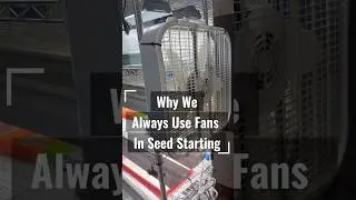 Starting Seeds Indoors? This Simple Fan Tip Makes a Huge Difference!