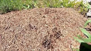 Escursione al Forte di Cima Ora