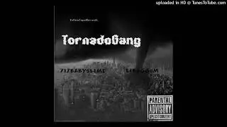 Tornado Gang (717BabySlime ft.Libaggum)