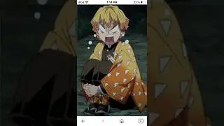 POV moi quand je vois une araign&eacute;e (s&rsquo;elle ci je la trouve cute)#demonslayer#araign&eacute;e#zenitsu