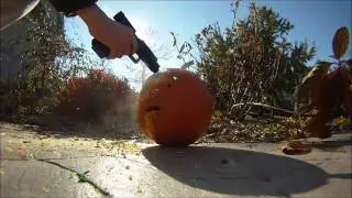 Halloween Airsoft Pumpkin shoot